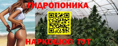 mdpv Дубна