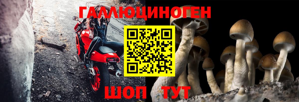 Псилоцибиновые грибы ЛСД Малоярославец