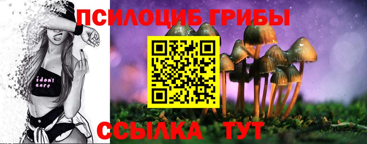 Малоярославец  наркота  Вход с VPN  Галлюциногенные грибы Psilocybine cubensis 