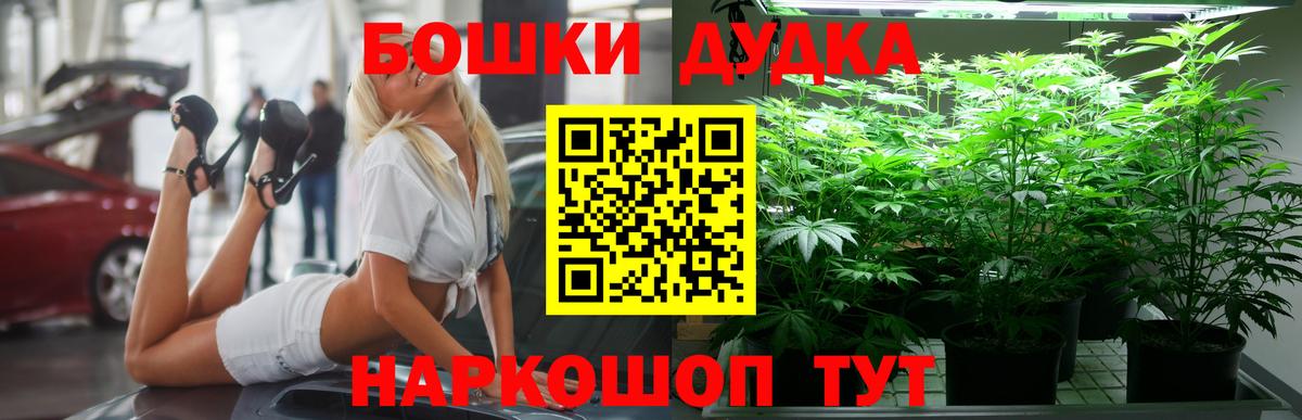 Каннабис марихуана Малоярославец